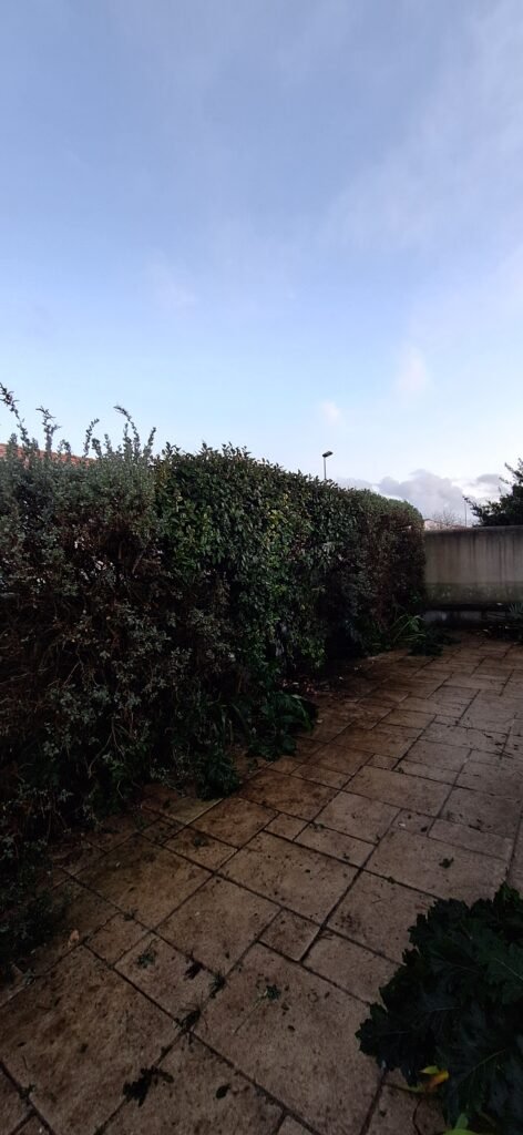 Taille de haie avant après – Rapido Travaux Maintenance La Rochelle